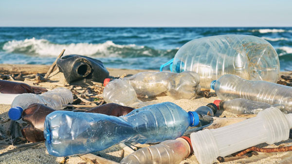 plastic bottle polution