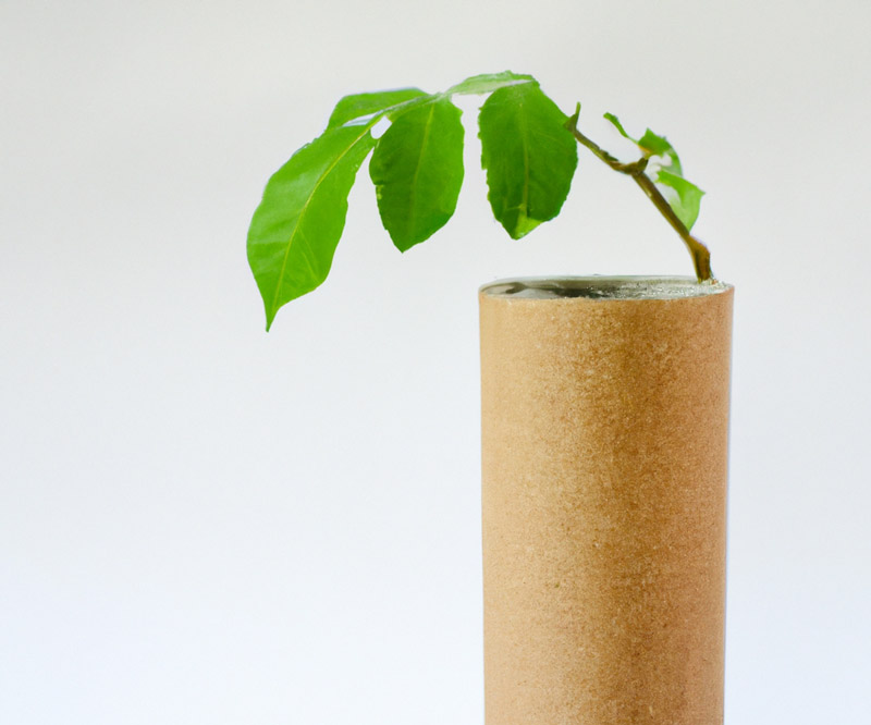sustainable-material-cardboard-tube